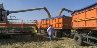 Бьем рекорды: урожай зерновых в Украине в 2023 году будет лучше, чем до войны