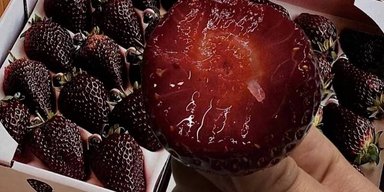 Темно-фіолетова полуниця стає трендом у світі: люди платять 45 доларів, щоб її скуштувати (фото)