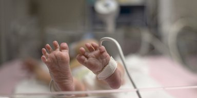 Инкубационный период. Как "ранние пташки" учат общению врачей и родителей