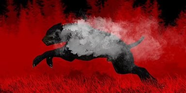Пекельний пес з очима-блюдцями: вчені розкривають таємницю демонічного собаки Східної Англії (фото)