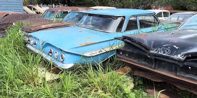 Раритети на задньому дворі: у США виявили кладовище старовинних авто (відео)