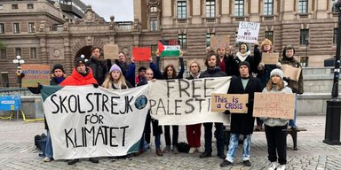"Крен в левый антисемитизм": эксперты считают, что экоактивисты переживают раскол