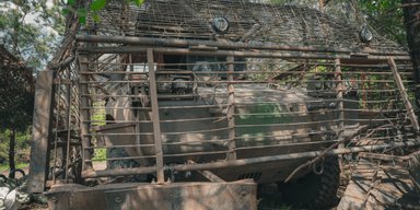 Броньований звір для найскладніших місій: десантники ЗСУ показали свою "Пуму"
