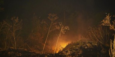 Запах гари в Одессе не исчезает уже четвертые сутки: в ГСЧС назвали причину