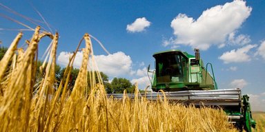 Україна втрачає мільйони тонн урожаю: чому страждає сільське господарство