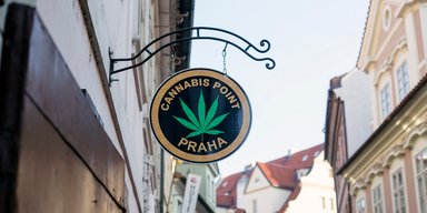 В Чехии легализировали каннабис: сколько марихуаны разрешено иметь
