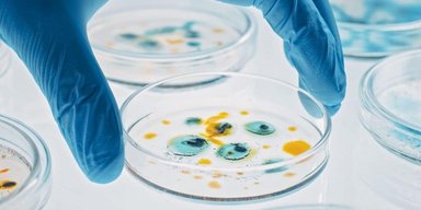Ученые обнаружили неизвестный живой организм на китайской космической станции "Тяньгун"