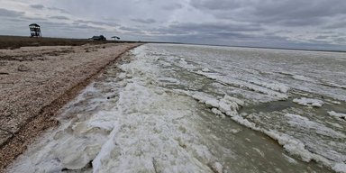 Сильное загрязнение моря: ученые фиксируют новые пятна на воде и массовую гибель крабов (фото)