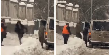 Во Львове полицейская ударила ногой дворника: женщина "препятствовала работе правоохранителей" (видео)