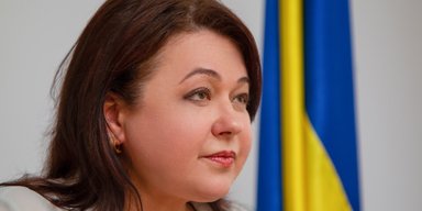 Пылающие леса и погибшие дельфины. Елена Криворучкина о том, как заставить Россию заплатить за экопреступления