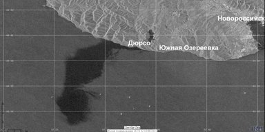 Ров, забор и крокодилы. Что делать, если у вас токсичный сосед