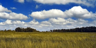 Приватна компанія хотіла закрити від Сонця 10 тисяч км²: про це дізналися випадково