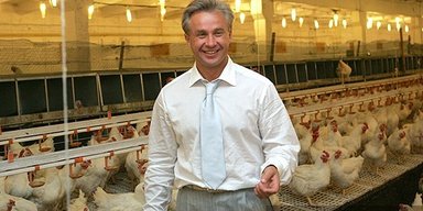 Не в корову корм. Кто в реальности сможет воспользоваться новой господдержкой животноводства