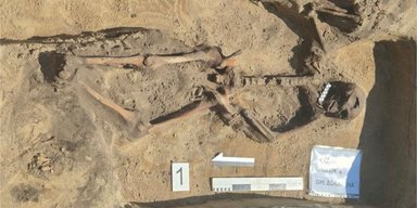 Одно тело, три головы: в Польше раскопали странный 5000-летний курган (фото)