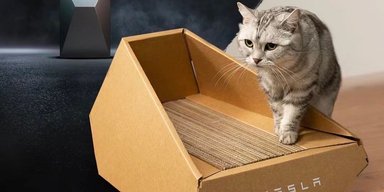 Tesla представила котячий лоток із картону у формі Cybertruck (фото)