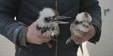 Атака ВС РФ на "Фельдман Экопарк": в сети показали масштабы разрушений (фото, видео)