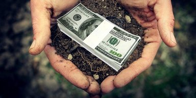 Продать все. Кабмин планирует продажу земли иностранцам, а фермеры начинают акции протеста