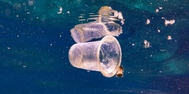 В Японии ученые создали пластик, который полностью разлагается в морской воде (фото)