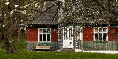 Жінка купила 100-річну хату в Карпатах за $13 тисяч: тепер там рай (фото)