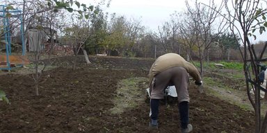 Поколение дачников и сторожей. Ода экономической неэффективности