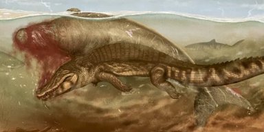 Доісторичний горор. Стародавню морську корову вбив крокодил, а потім на частини розірвала акула