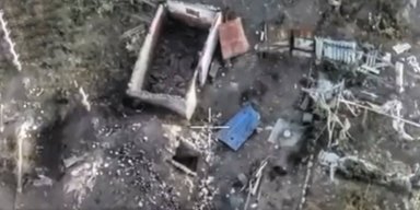 "Шарик-ДРГ": собака помогла Силам обороны найти и уничтожить российских диверсантов (видео)
