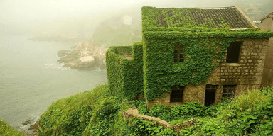 Заброшенная деревня, поглощенная лианами, стала туристическим чудом (фото)