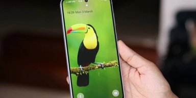 Новый популярный бюджетник Samsung на подходе: чем порадует Galaxy A57 (фото, видео)
