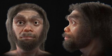 Ближайший родственник Homo sapiens: ученые смоделировали лицо настоящего Человека-дракона (фото)
