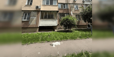 В Киеве мужчина выбросил собаку с 6-го этажа: люди требуют экспертизу (фото, видео)