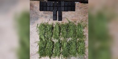 ВС РФ "заворачивают" мины в траву: в Никопольской РВА объяснили, как уберечься от новой опасности
