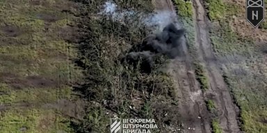 Накрили вогнем: з'явилося відео з БПЛА, як 3 ОШБр зачищала лісосмугу біля Андріївки (відео)