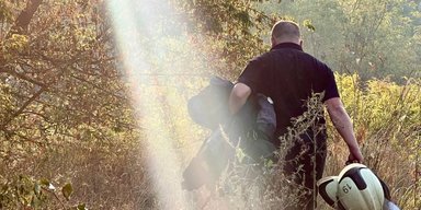 Били ракетами и Shahed: кадры последствий ночного удара ВС РФ по Киеву (фото)