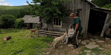 Самі у горах: Марія та її донька живуть на полонині посеред Карпат (фото)