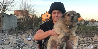 Жив 3 дні: у Сумах помер пес, якого знайшли після ракетного удару ЗС РФ (відео)