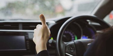 Водителей в Британии от штрафа могут "спасти" каштаны: подробности