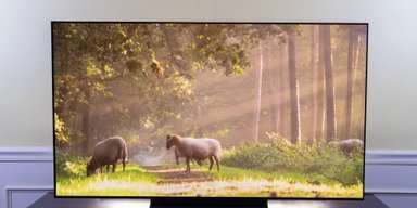 Не только LG: эксперты назвали топ-5 лучших OLED-телевизоров на любой бюджет (фото)
