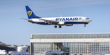 "З'їдять мене живцем": рій комарів зірвав виліт рейсу Ryanair