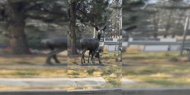 Вандалы клеят забавные игрушечные глаза к уличным скульптурам, но властям не смешно (фото)
