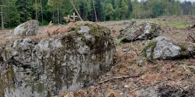 Часть линии Молотова: в Польше обнаружили заброшенный бункер времен Второй мировой войны (фото)