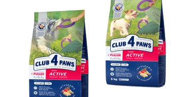 Як годувати дорослого спортивного собаку активної породи: все про раціон CLUB 4 PAWS АКТИВ