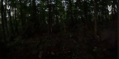 Бійці ССО зробили успішний "наліт" на позицію ЗС РФ на кордоні з Росією (відео)