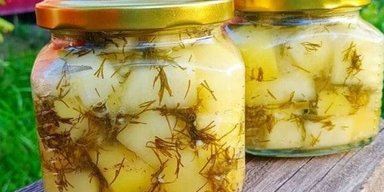 Кабачки со вкусом грибов: рецепт вкуснейшей закуски на зиму