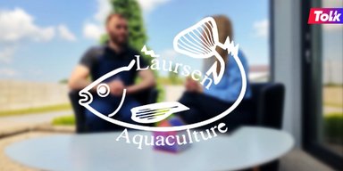 Tolkовые партнерства: Laursen Aquaculture переходит на зеленую энергию Tolk
