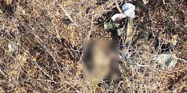 "Звʼязали руки, а потім убили": ЗС РФ розстріляли полонених під Токмаком, — Стерненко (фото)