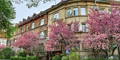Чешское наследие. Чем знаменит Малый Галагов в Ужгороде и что там можно увидеть за два дня