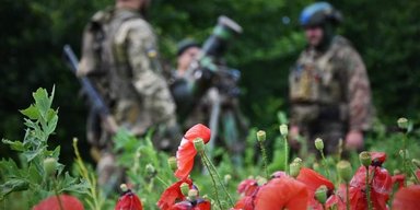 "Труднее продвигаться": кустарники и сорняки мешают контрнаступлению ВСУ, — разведка Британии