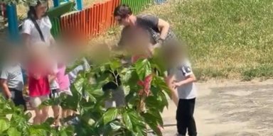 Грубо дергала и вела на поводке: в Кривом Роге разгорелся скандал из-за поведения воспитательницы