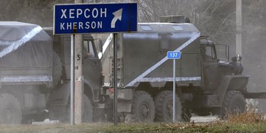Вивозять з Херсонщини: Білорусь продає до ЄС олію з вирощеного в Україні ріпаку, — "Схеми"