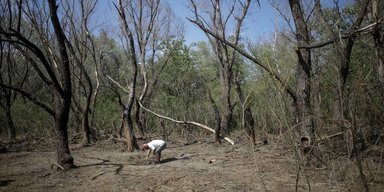 Власти предупредили о взрывах: российский Shahed мог залететь в Румынию, — СМИ